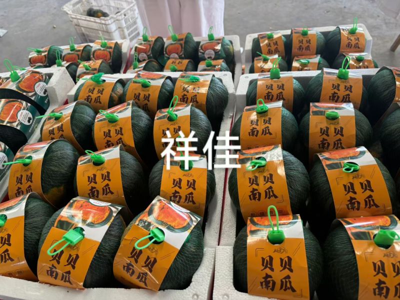贝贝南瓜各种规格都有，出口各个国家，礼盒包装齐全口感粉糯香甜
