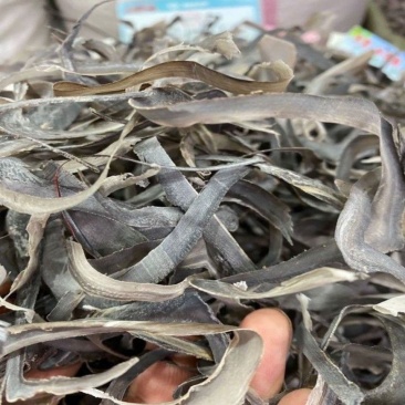 中药材水牛角丝水牛角牛角丝
