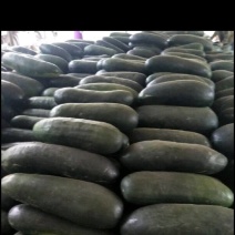 大量冬瓜