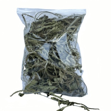 车前草全草车轱辘菜新鲜干货泡茶煮水