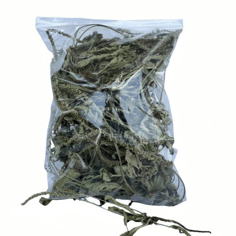 车前草全草车轱辘菜新鲜干货泡茶煮水