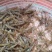 大量批发鲜活小河虾***********