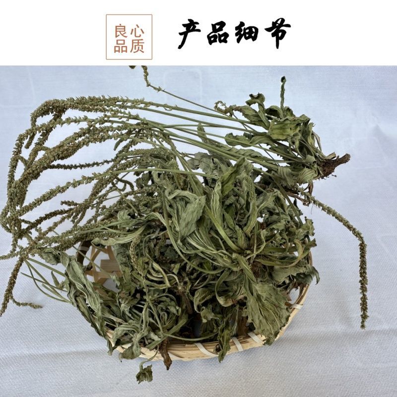 车前草全草车轱辘菜新鲜干货泡茶煮水