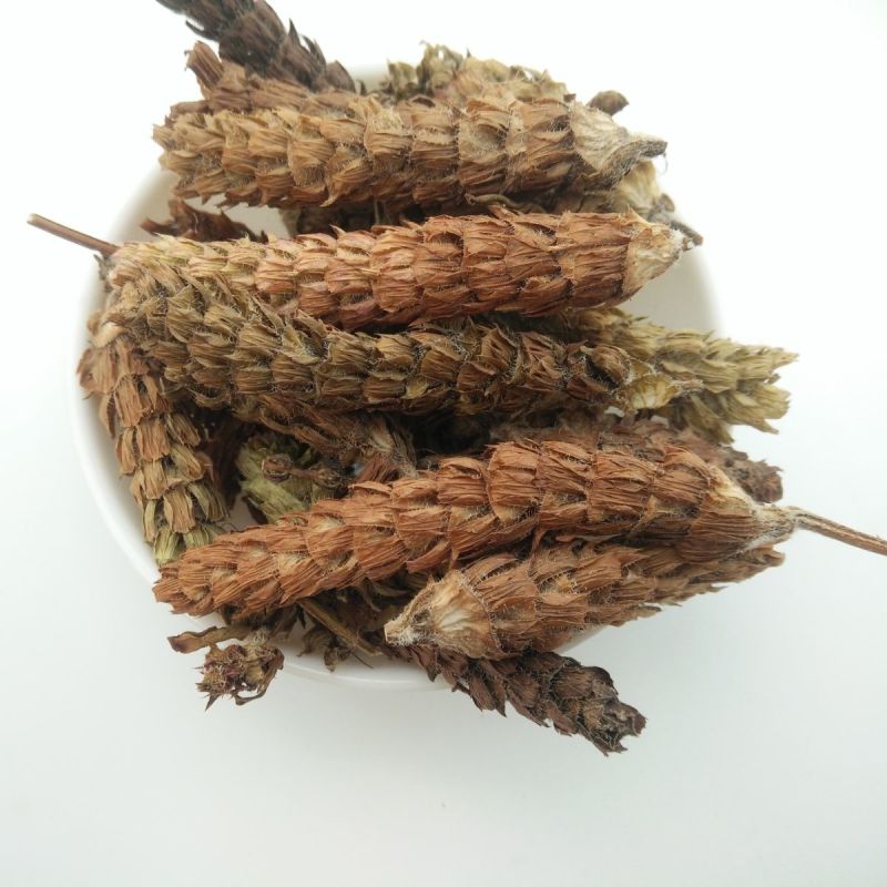 夏枯草中药材夏枯草