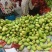 金煌芒水仙芒套袋无籽果批发保质保量包售后可接电商一件