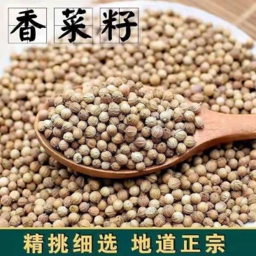 正品香菜籽芫荽子调料商用新货食用卤料