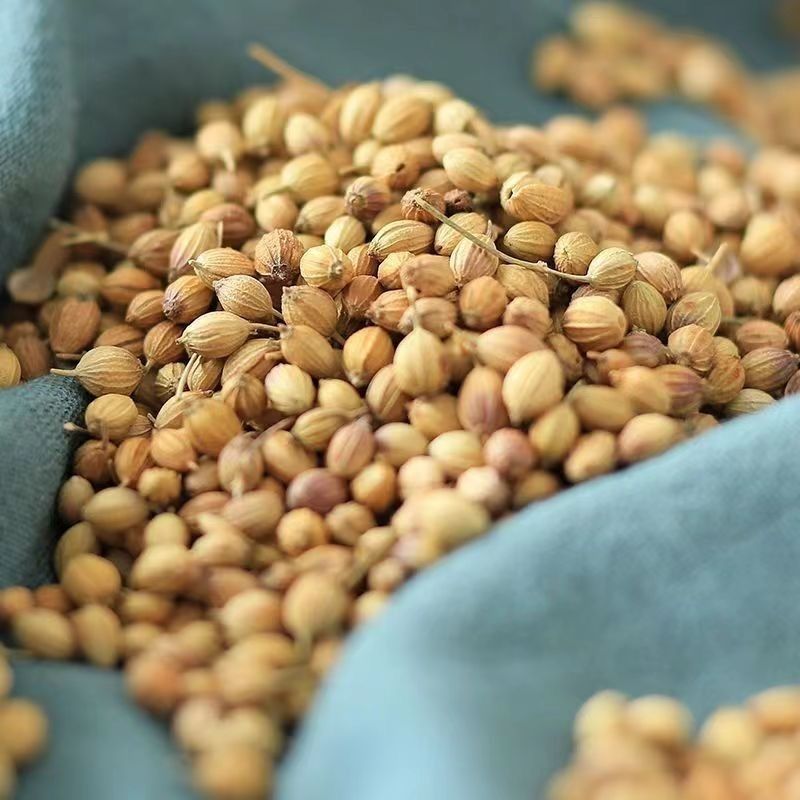 正品香菜籽芫荽子调料商用新货食用卤料