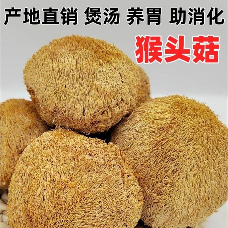 猴头菇农家自产正宗干货菌菇新鲜无熏硫煲汤
