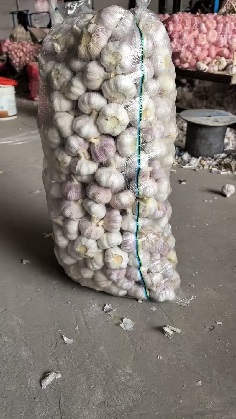 金乡大蒜产地直发一手货源。