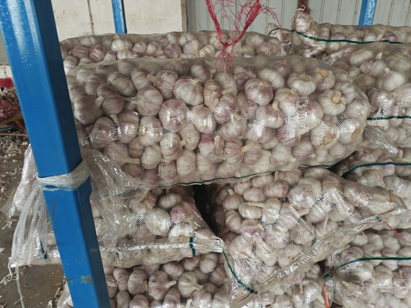 金乡大蒜产地直发一手货源。