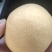 内黄县秋月梨大量上市质量有保证
