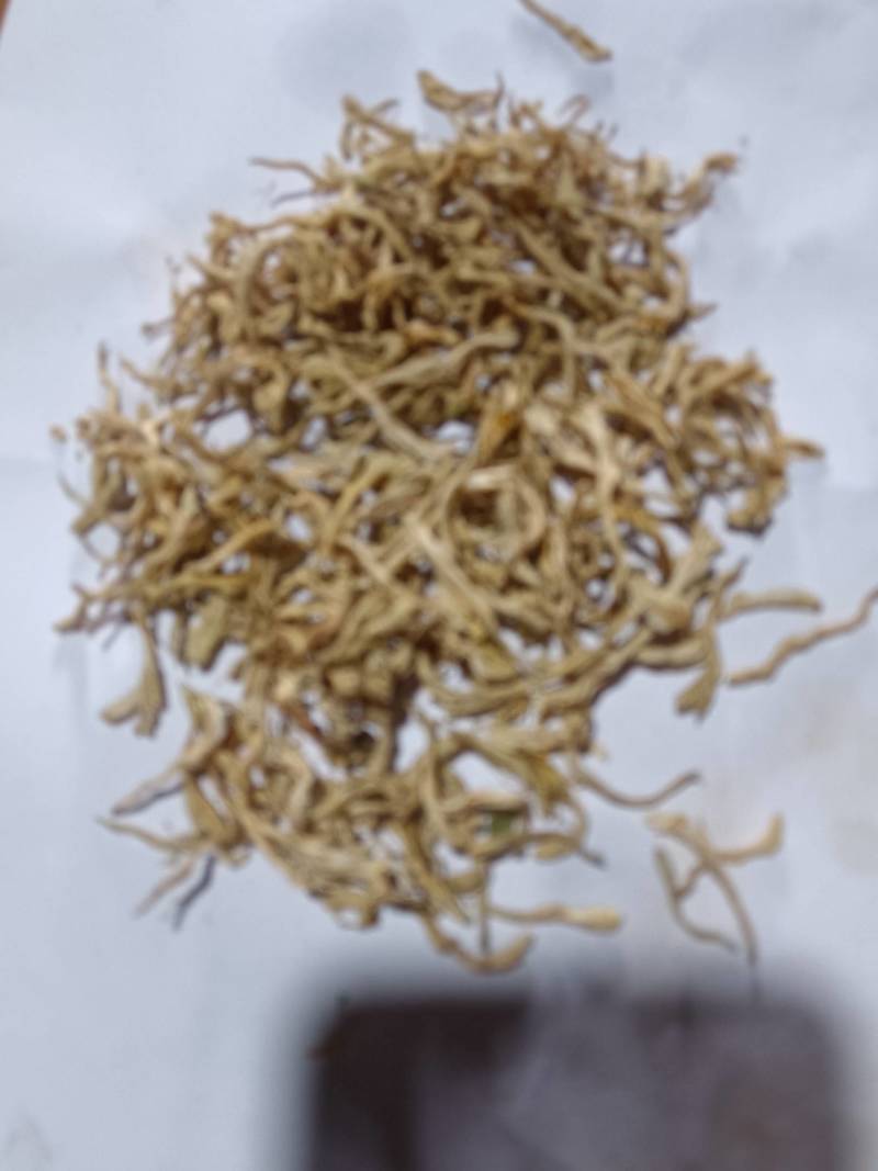 干品金银花基地直销量大质优价格优惠欢迎咨询采购