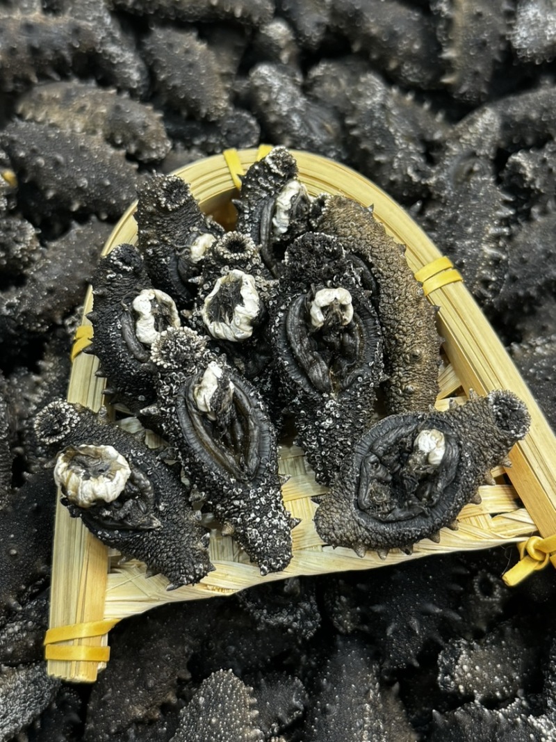长海县自生长纯淡干