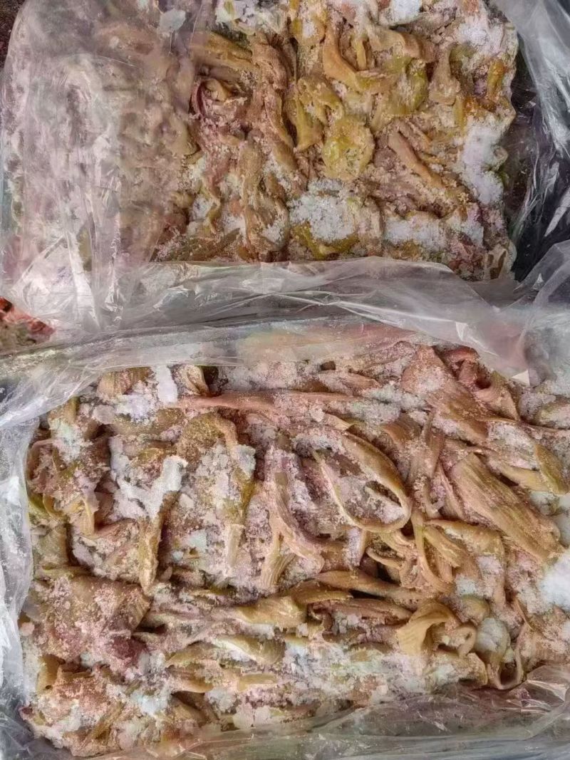 牛大肠精修去油纯清水煮圆肠牛小肠纯干牛伞带牛三代伞肚
