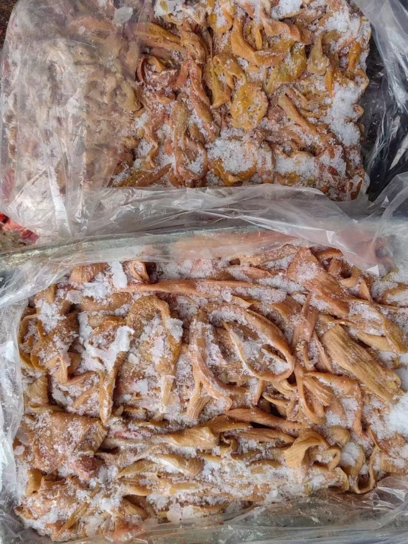 牛大肠精修去油纯清水煮圆肠牛小肠纯干牛伞带牛三代伞肚