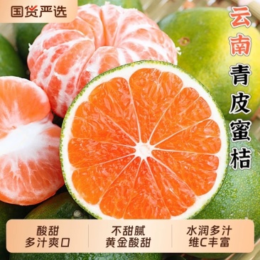 云南青皮蜜桔