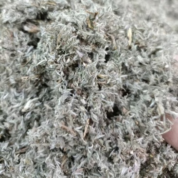 茵陈，产地直发，大量有货，可视频看货，量大从优