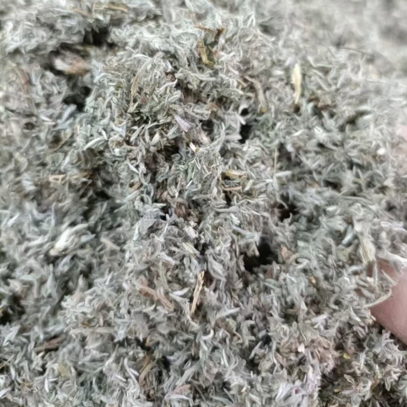茵陈，产地直发，大量有货，可视频看货，量大从优