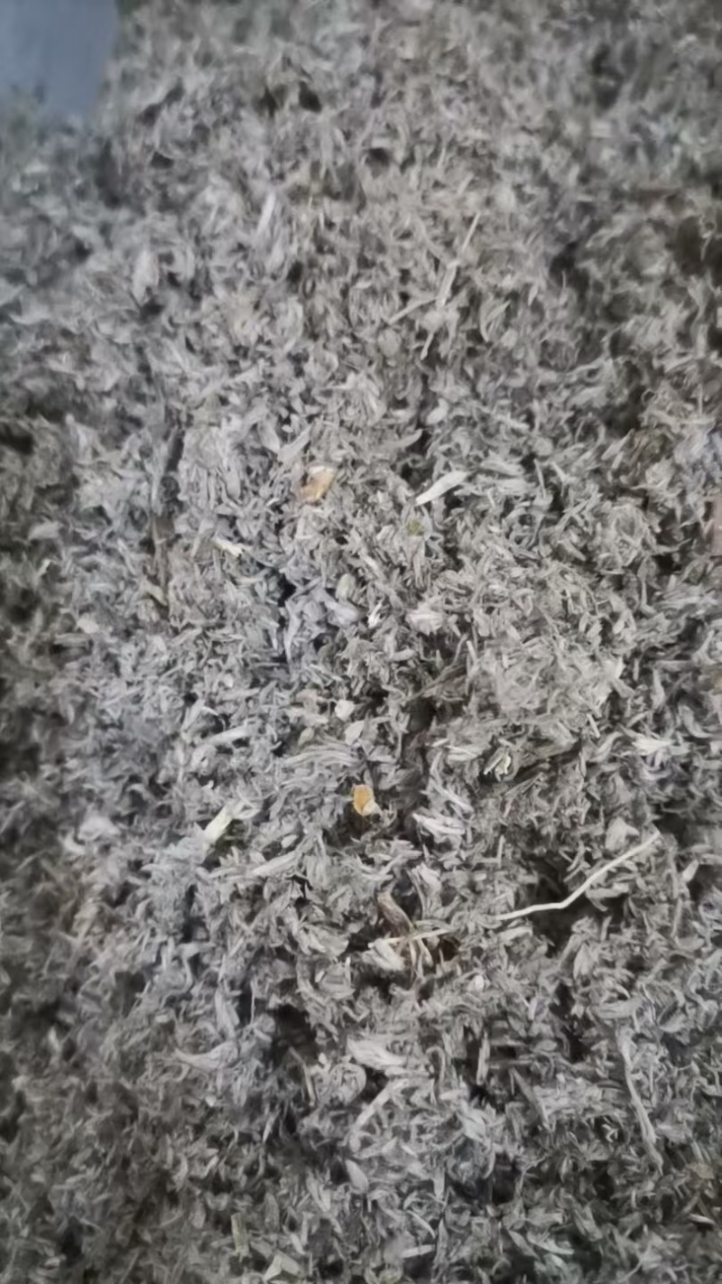 茵陈，产地直发，大量有货，可视频看货，量大从优