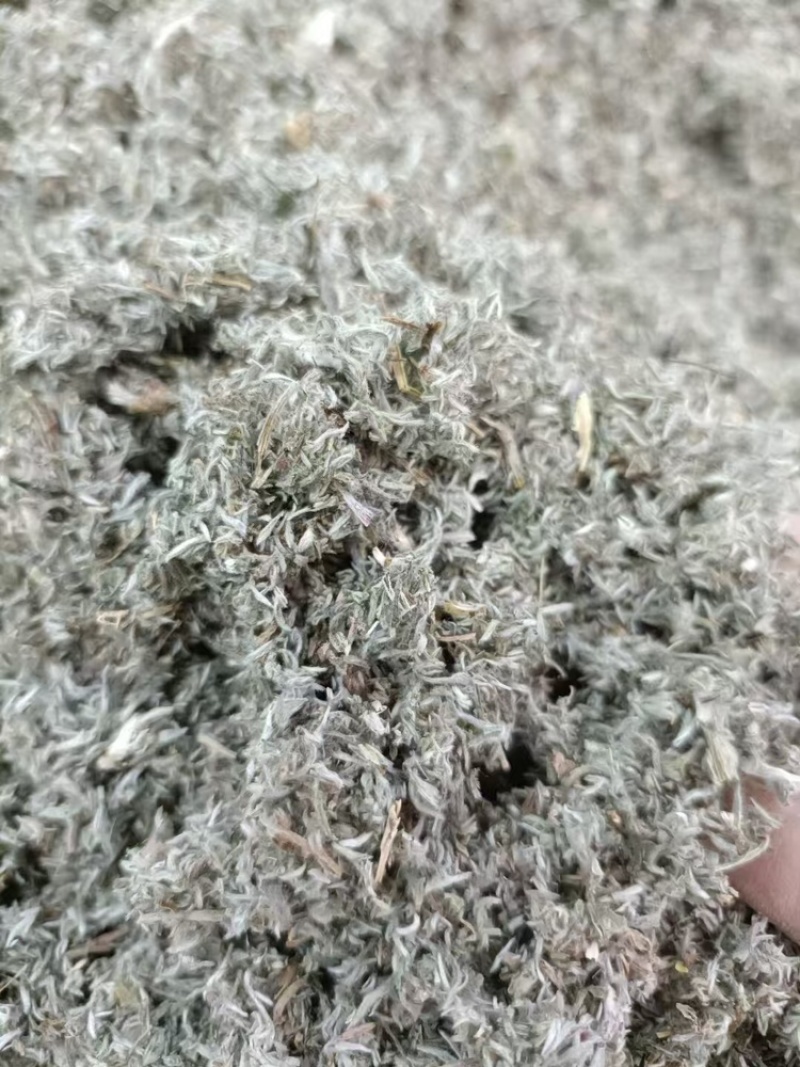 茵陈，产地直发，大量有货，可视频看货，量大从优