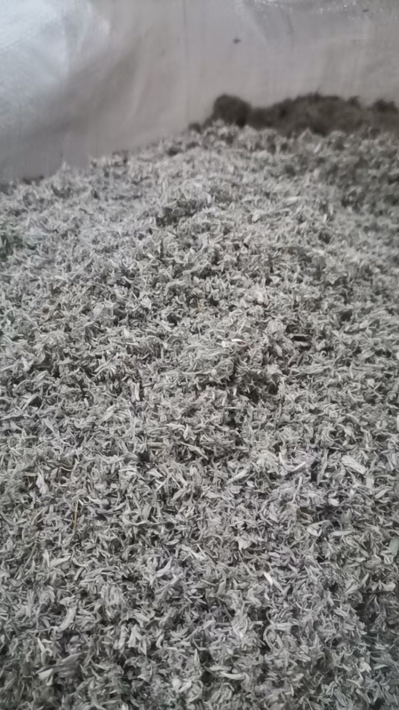 茵陈，产地直发，大量有货，可视频看货，量大从优