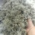 茵陈，产地直发，大量有货，可视频看货，量大从优