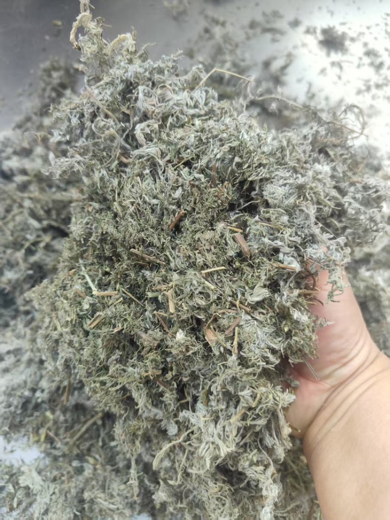 茵陈，产地直发，大量有货，可视频看货，量大从优