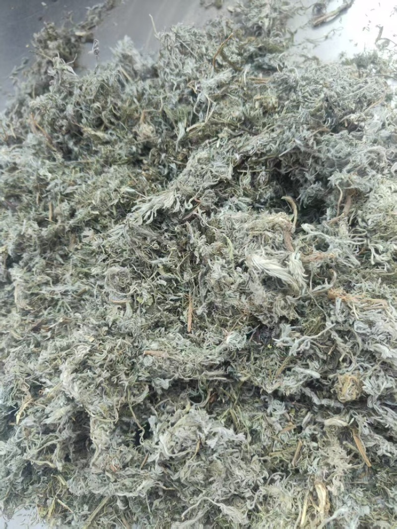 茵陈，产地直发，大量有货，可视频看货，量大从优