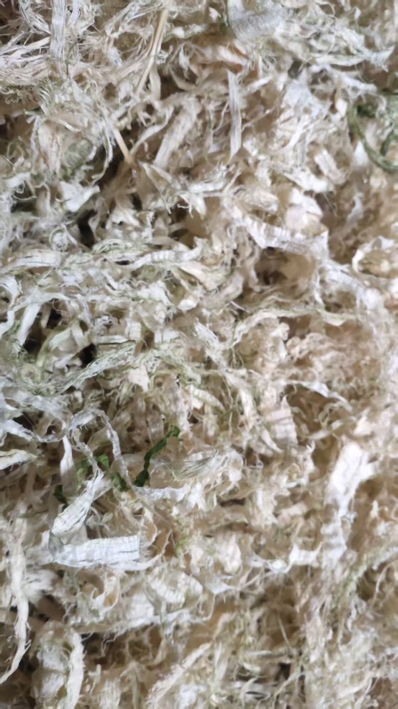 竹茹，厂家直发，现货现发，大量有货，欢迎各位老板咨询采购