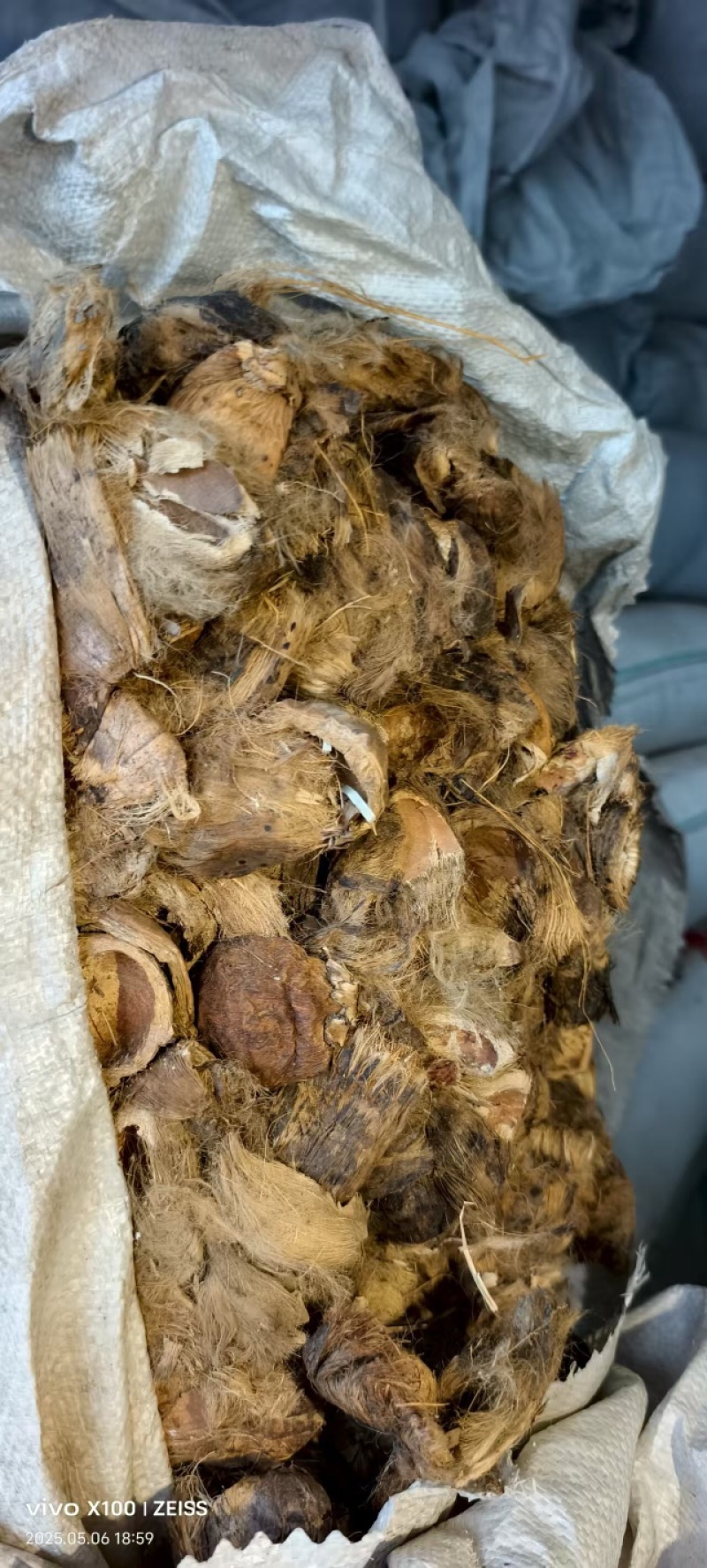 大腹皮，现货现发，大量有货，可视频看货，欢迎采购