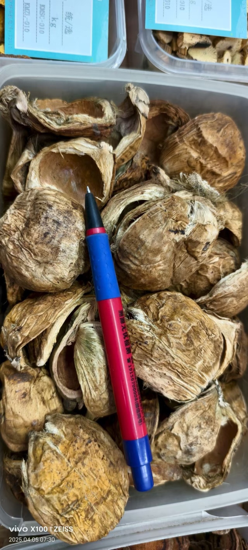 大腹皮，现货现发，大量有货，可视频看货，欢迎采购