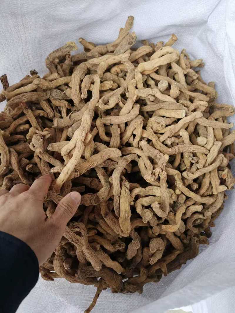 湖南精品玉竹片产地直发品质保证量大从优一手货源