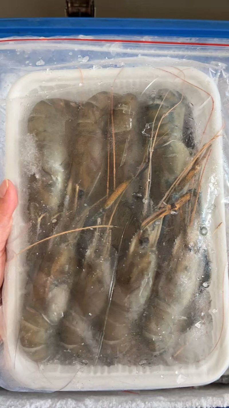 生冻罗氏虾，各规格有货，对接批发市场，档口，电商，一件代发