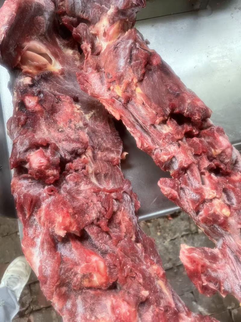 清真国产满肉牛脖骨质量嘎嘎好，随意切割支持走样，量大可谈