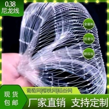 果树防护网防鸟网樱桃园防鸟网，可定制