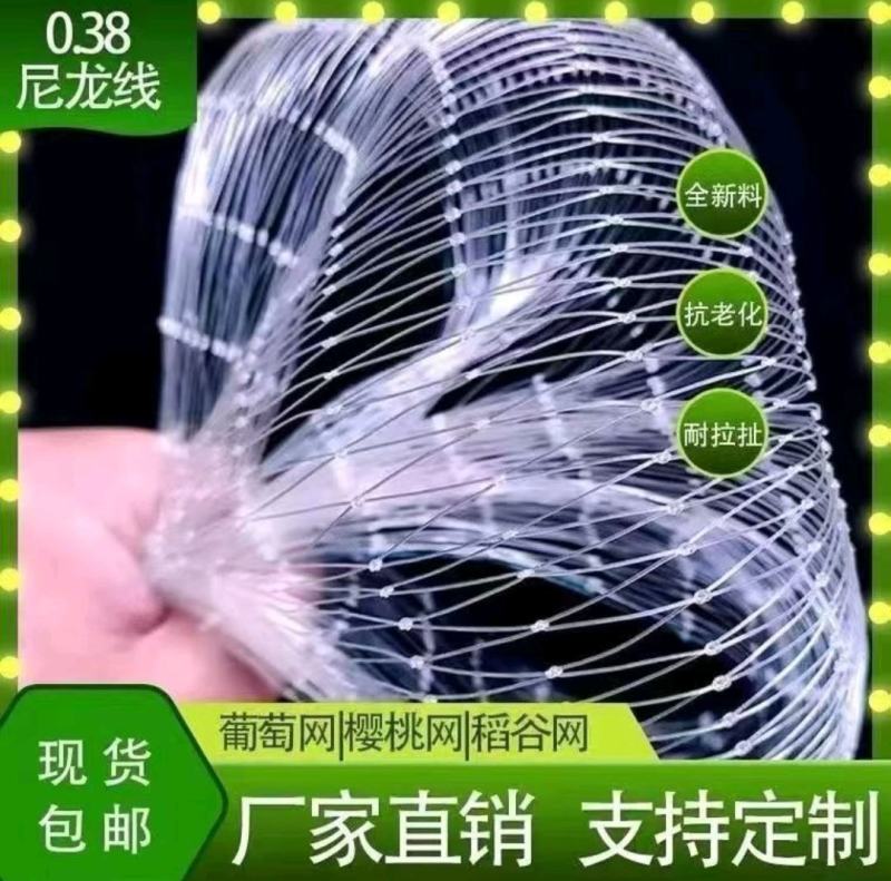 果树防护网防鸟网樱桃园防鸟网，可定制