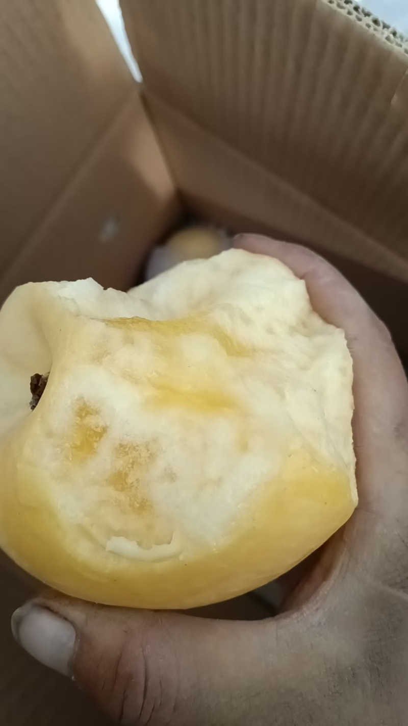 阿克苏冰糖心，红富士苹果，全国发货，欢迎联系