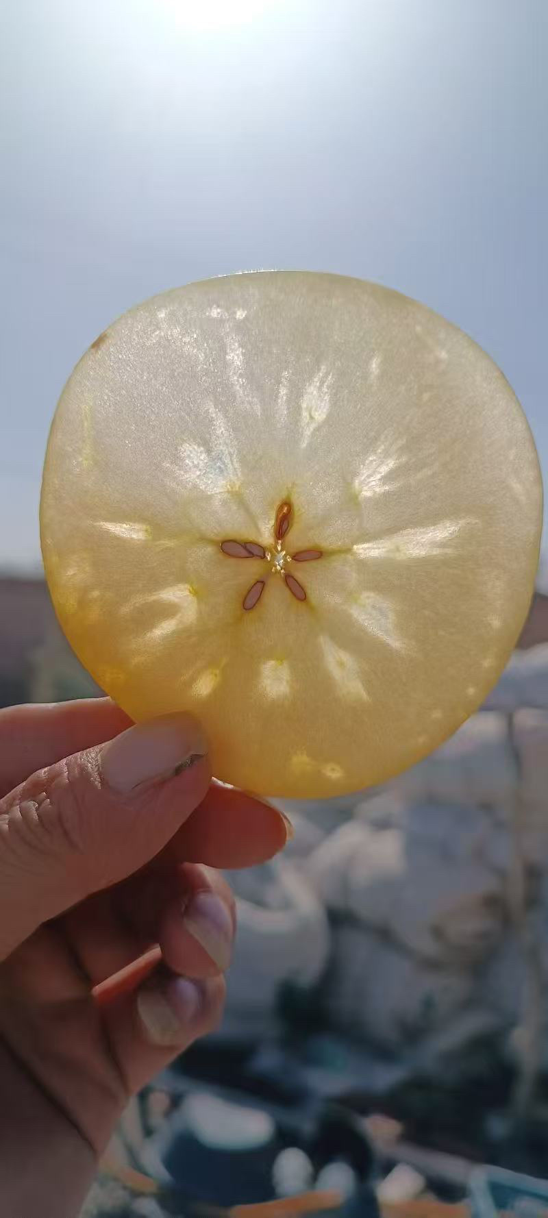 阿克苏冰糖心，红富士苹果，全国发货，欢迎联系