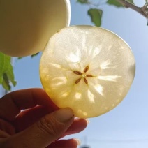 阿克苏冰糖心，红富士苹果，全国发货，欢迎联系