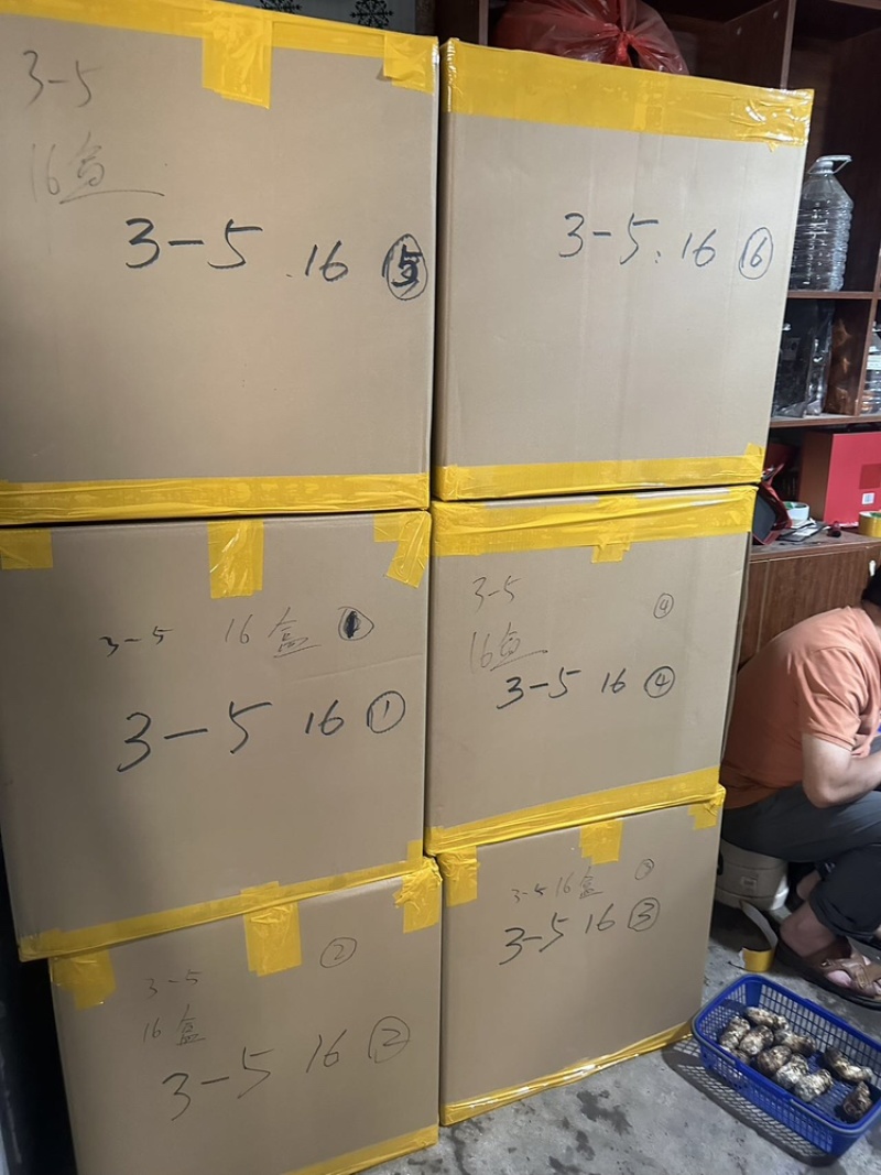新鲜松茸，厂家直发，大量有货，欢迎各位老板咨询采购
