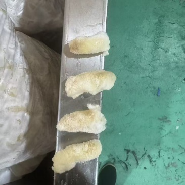 鸭脚筋