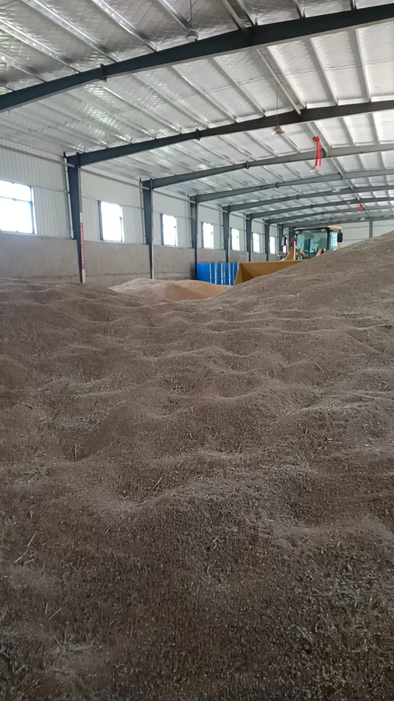 小麦安徽产区直发保质保量供货价钱可谈