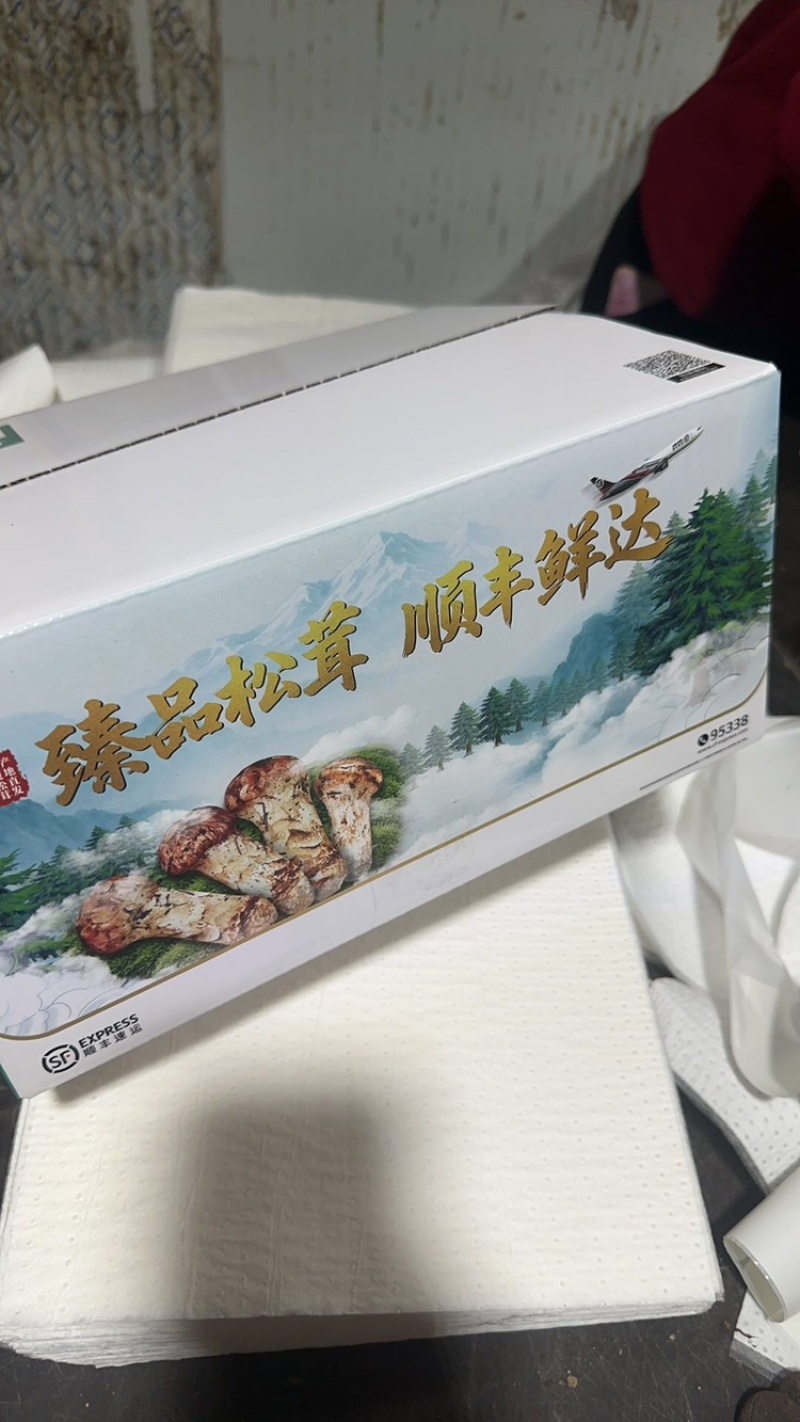 新鲜松茸5-7厘米，现货现发，可一件代发，欢迎咨询采购