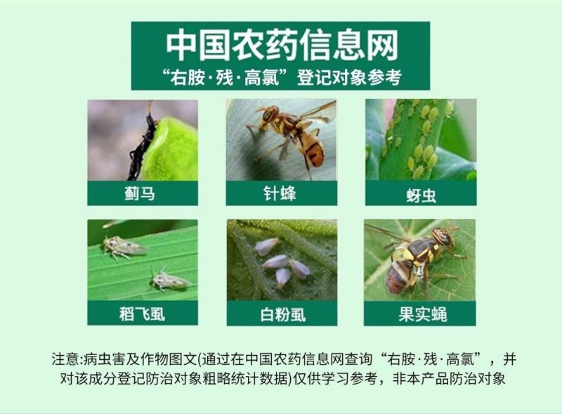 10%右胺残高氯高氯残杀威右旋胺菊酯蚊蝇蜚蠊蟑螂果实蝇