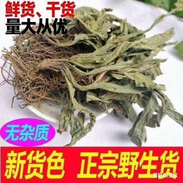 地胆头地胆草广西100%野生鲜货干货都有现货通货量大从优