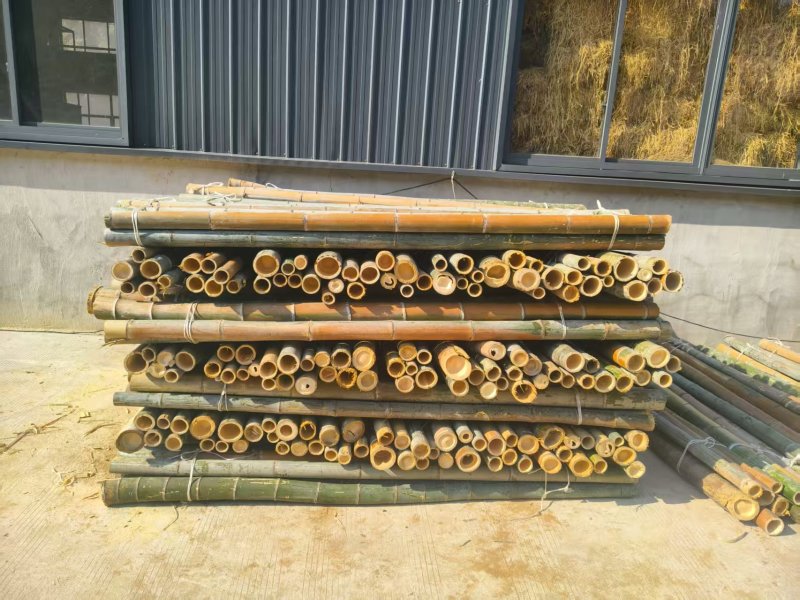 湖北精品毛竹杆基地直供量大从优价格实惠欢迎联系