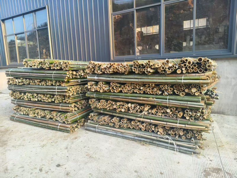 湖北精品毛竹杆基地直供量大从优价格实惠欢迎联系