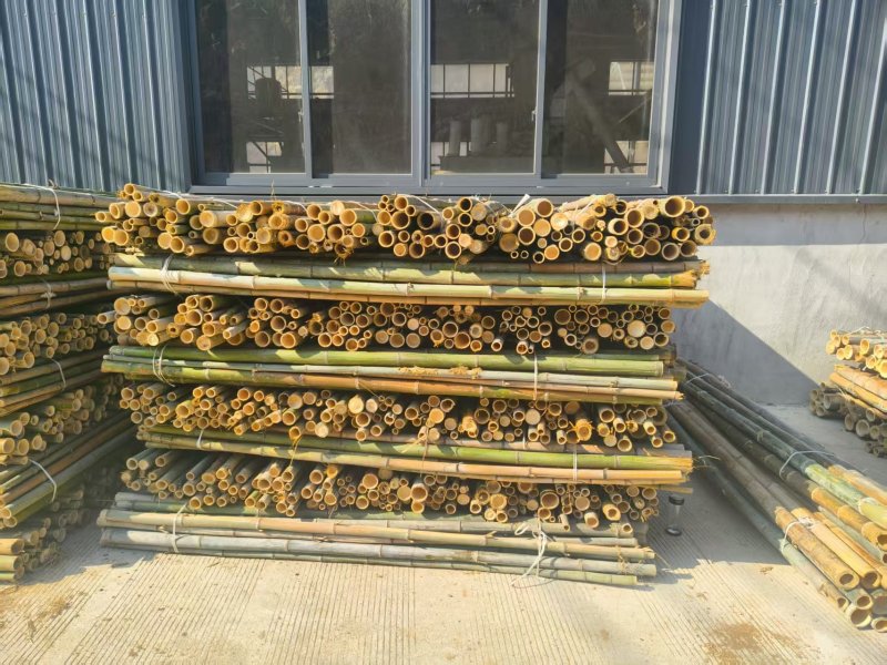 湖北精品毛竹杆基地直供量大从优价格实惠欢迎联系