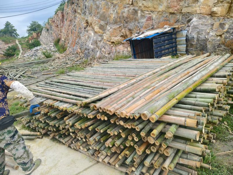 湖北精品毛竹杆基地直供量大从优价格实惠欢迎联系