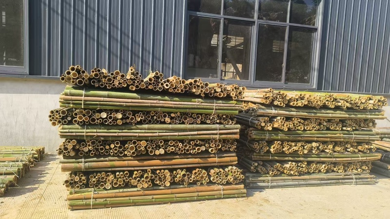 湖北精品毛竹杆基地直供量大从优价格实惠欢迎联系